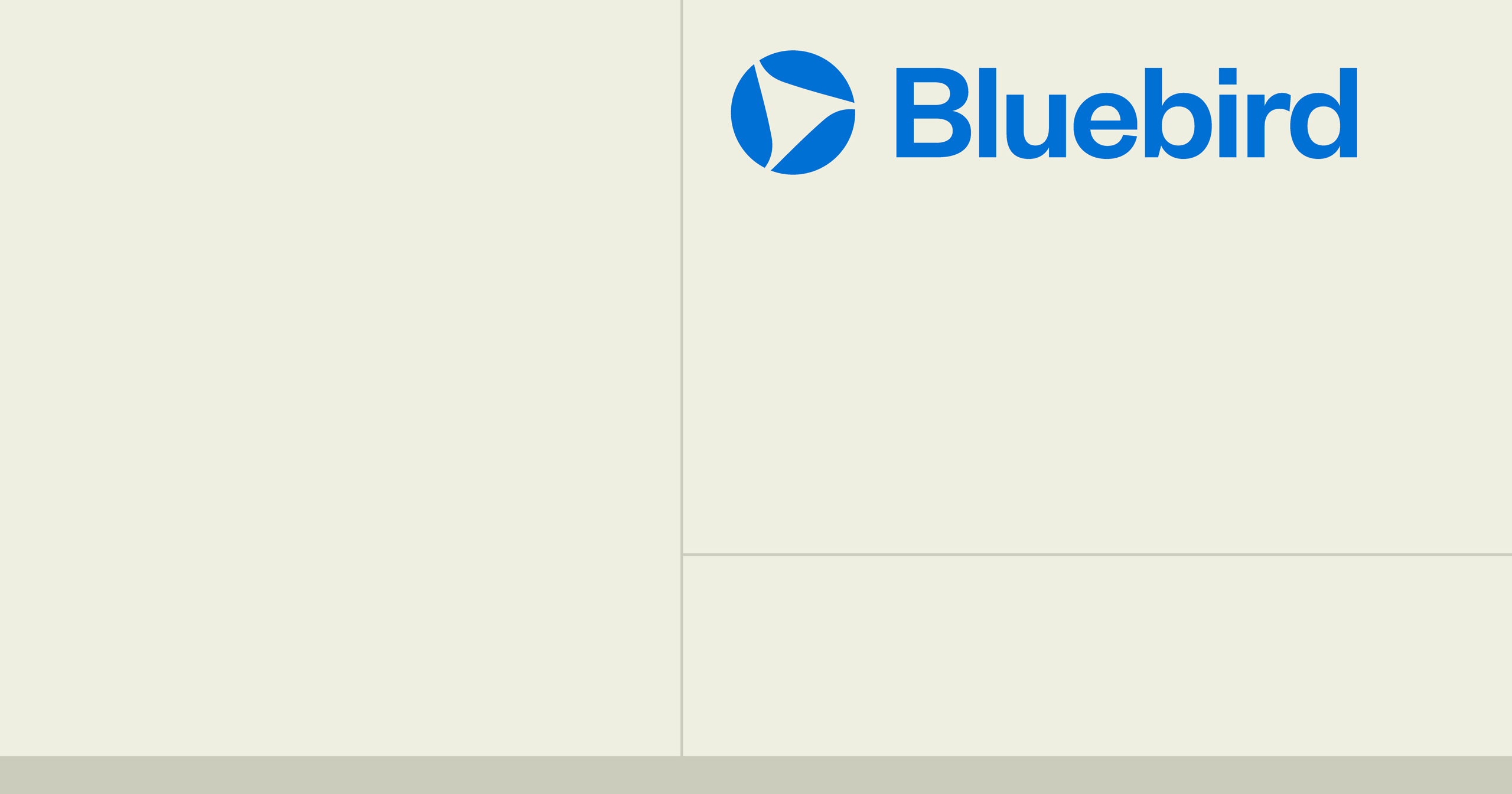 Discover The Story Behind Bluebird | Bluebird